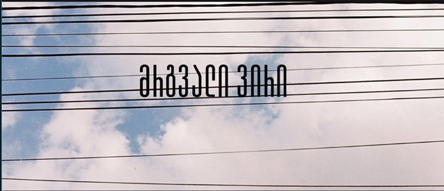 ალექს ჩიღვინაძე მრგვალი ვირი